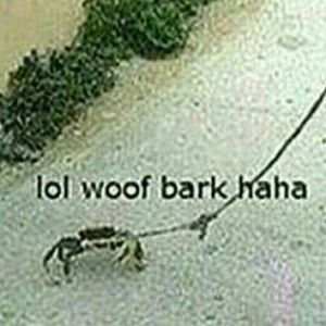 Meet your Posher, Anne frances